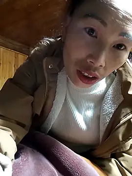 Nllpvp online show from February 2026 11:20:01 AM