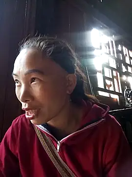 Nllpvp online show from February 2026 08:43:02 AM