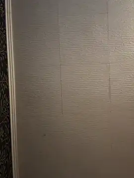 Evelin199 online show from February 2026 07:56:01 PM