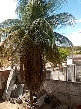 Snapshot of ____gozada---- chatting on January 2026 03:59:01 PM gozada---- online show from January 2026 03:59:01 PM