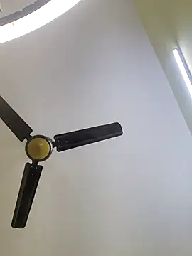 trinasa online show from January 2026 06:31:01 PM