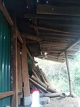 Snapshot of feli-00 chatting on January 2026 02:02:02 AM feli-00 online show from January 2026 02:02:02 AM