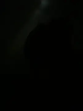 gede224 online show from February 2026 12:59:02 PM