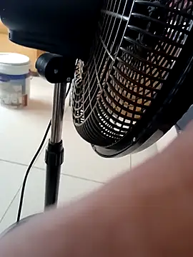 Winterslender online show from February 2026 11:36:01 AM