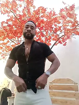 Dante Knox online show from May 2026 11:06:01 AM