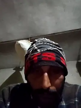 kulwantj online show from January 2026 02:26:02 AM