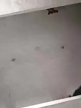 Snapshot of Mafiya0102 chatting on January 2026 05:50:01 PM Mafiya0102 online show from January 2026 05:50:01 PM