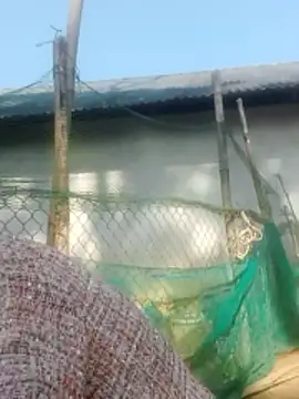 jjennyyy online show from January 2026 03:23:01 AM