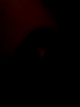 Snapshot of arushi_bb chatting on January 2026 03:38:01 PM arushi bb online show from January 2026 03:38:01 PM