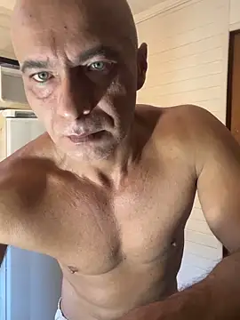 dogfrota online show from February 2026 03:07:01 PM