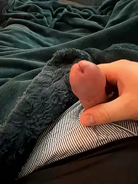 BadBear 17 online show from January 2026 07:25:02 AM