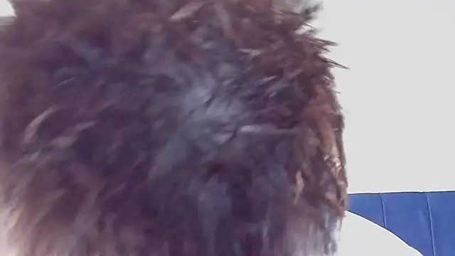 DrakeCarter online show from February 2026 01:48:01 AM