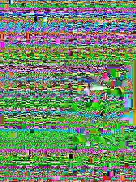 Wicy23 online show from May 2026 03:48:02 AM