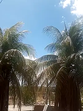  ---bucetuda    - online show from January 2026 04:22:02 PM