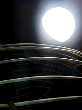 cutee Baby angel online show from February 2026 08:20:02 PM