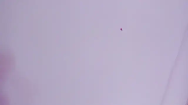 lovely  kiss   online show from March 2026 06:13:01 PM