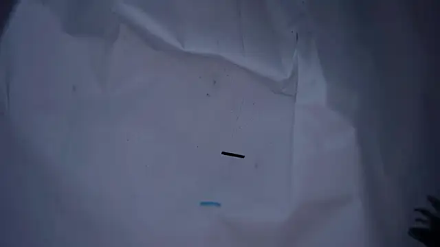 lx667788 online show from January 2026 03:27:01 PM