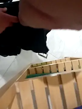 testmailx75 online show from February 2026 10:36:02 PM