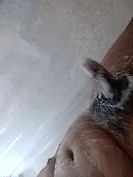 daringprince online show from January 2026 06:22:01 PM