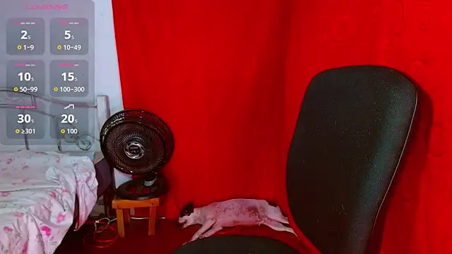 latin princess 12 online show from February 2026 06:47:01 PM