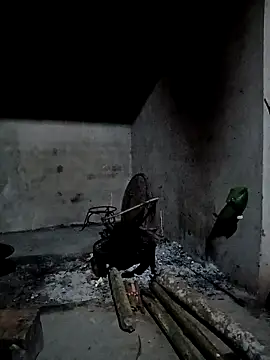 cutebobi online show from April 2026 10:29:01 PM