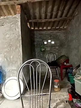 Nuna 689 online show from April 2026 03:37:01 AM