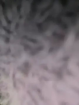 Puka2001 online show from March 2026 06:14:01 AM