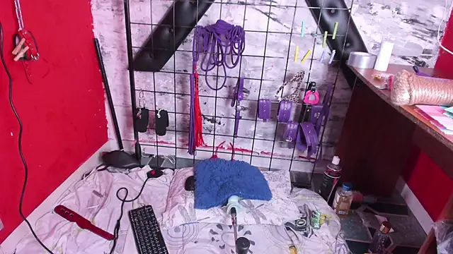 Charlotte Bms7 online show from February 2026 07:52:01 AM