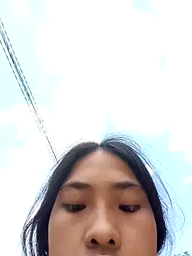 Hoa-tuylip online show from April 2026 07:56:01 AM