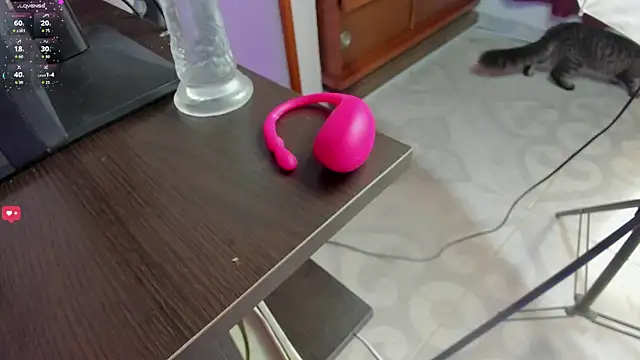 Snapshot of Amira_alcala chatting on February 2026 07:50:02 PM Amira alcala online show from February 2026 07:50:02 PM