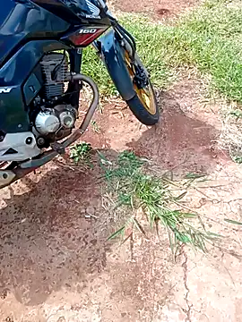 negrim10 online show from February 2026 12:31:01 PM