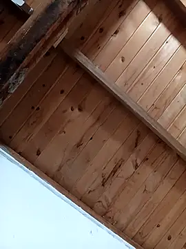 Snapshot of luna_pinky chatting on March 2026 04:42:01 PM luna pinky online show from March 2026 04:42:01 PM