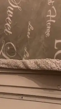 BadyAndShay5 online show from March 2026 10:46:01 PM