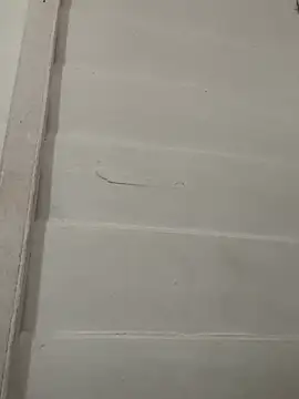 vainillasuave online show from February 2026 03:21:02 PM