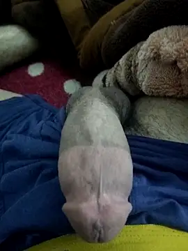 Snapshot of amirMohamed58 chatting on February 2026 09:23:01 PM amirMohamed58 online show from February 2026 09:23:01 PM