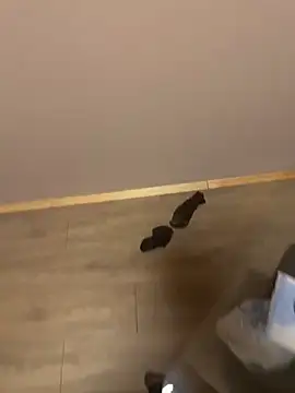 Snapshot of kin-y7 chatting on February 2026 03:43:01 AM kin-y7 online show from February 2026 03:43:01 AM