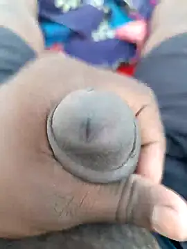 babu bull online show from March 2026 11:54:02 AM