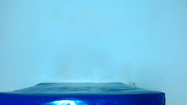 arielnoir6958 online show from March 2026 07:03:02 PM