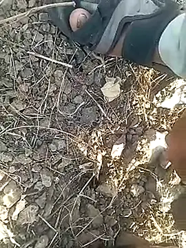 Snapshot of Cute_Boy_4 chatting on February 2026 11:16:01 AM Cute Boy 4 online show from February 2026 11:16:01 AM