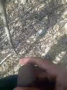 Snapshot of Cute_Boy_4 chatting on February 2026 08:01:02 AM Cute Boy 4 online show from February 2026 08:01:02 AM