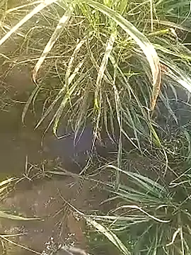 Snapshot of Cute_Boy_4 chatting on February 2026 02:44:01 AM Cute Boy 4 online show from February 2026 02:44:01 AM