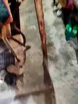 crazyxy12 online show from March 2026 09:26:02 AM