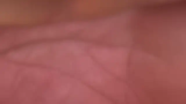 ctguybj online show from June 2026 04:42:02 AM