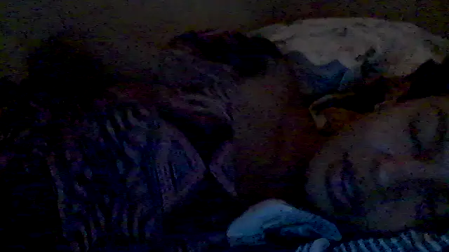 lorraine2036 online show from February 2026 02:57:01 PM