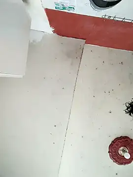 cynliu online show from April 2026 02:23:01 PM