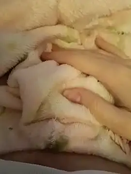 CutxeFrench online show from March 2026 10:33:01 AM