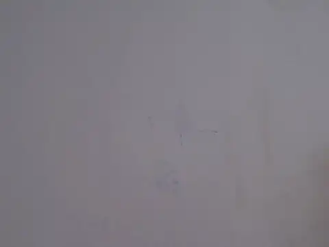 placerverdadero online show from February 2026 05:48:02 AM