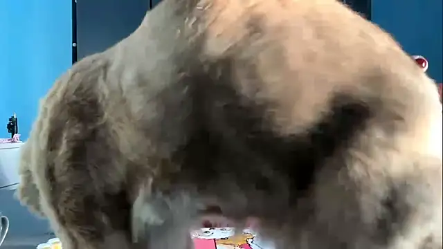 Snapshot of AndreeMerryman chatting on February 2026 08:08:02 AM AndreeMerryman online show from February 2026 08:08:02 AM