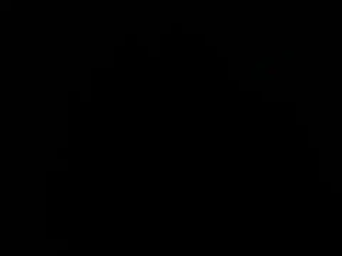 paula ross  online show from February 2026 11:42:02 PM