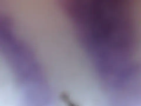 Snapshot of ELIZA_01 chatting on February 2026 04:38:02 AM ELIZA 01 online show from February 2026 04:38:02 AM